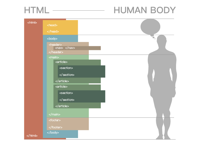 網頁設計教學-用人體的結構來認識HTML架構